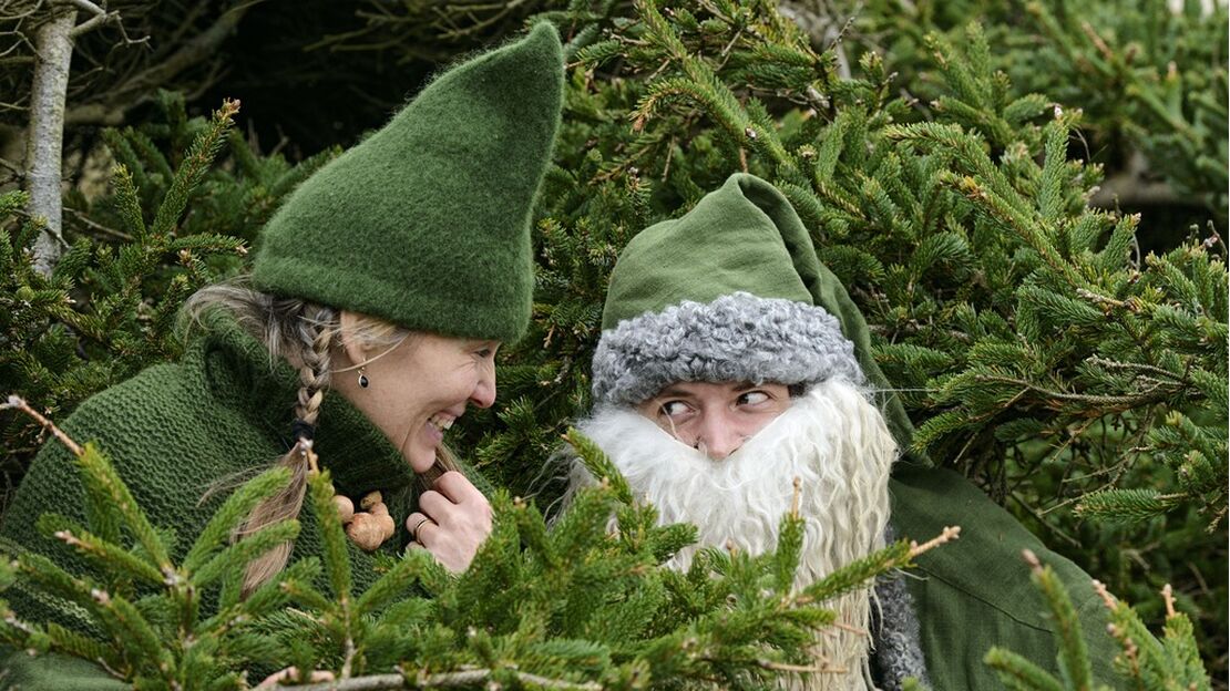 Green forest gnomes in Naturkraft