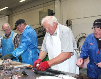 Fiskeauktion i Hvide Sande 2025
