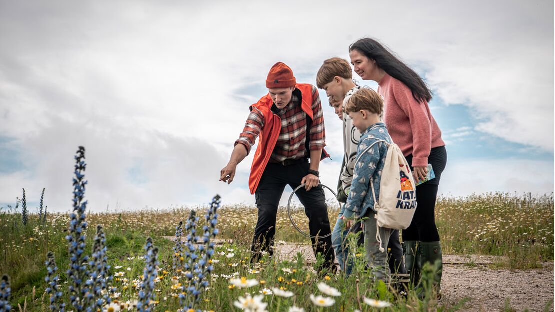 Go on an expedition into nature!